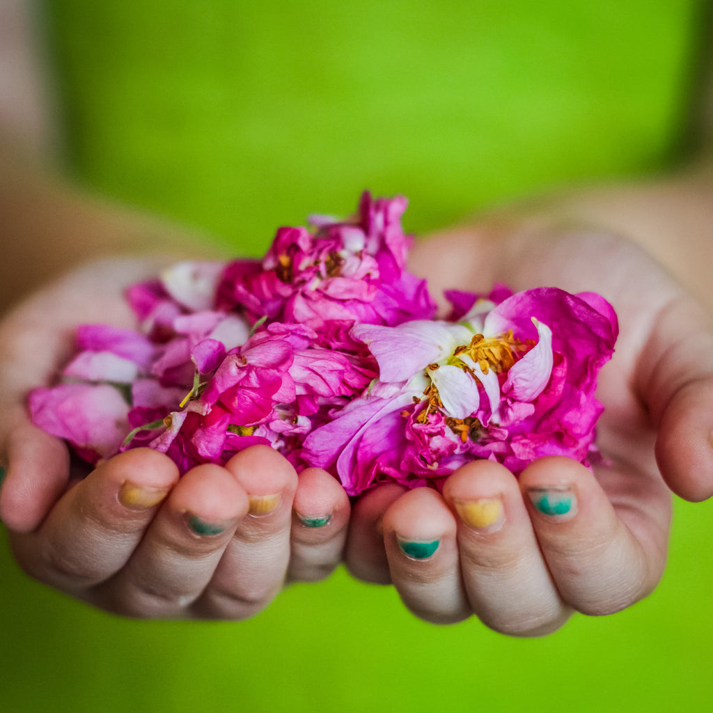 Holistic Hand SPA