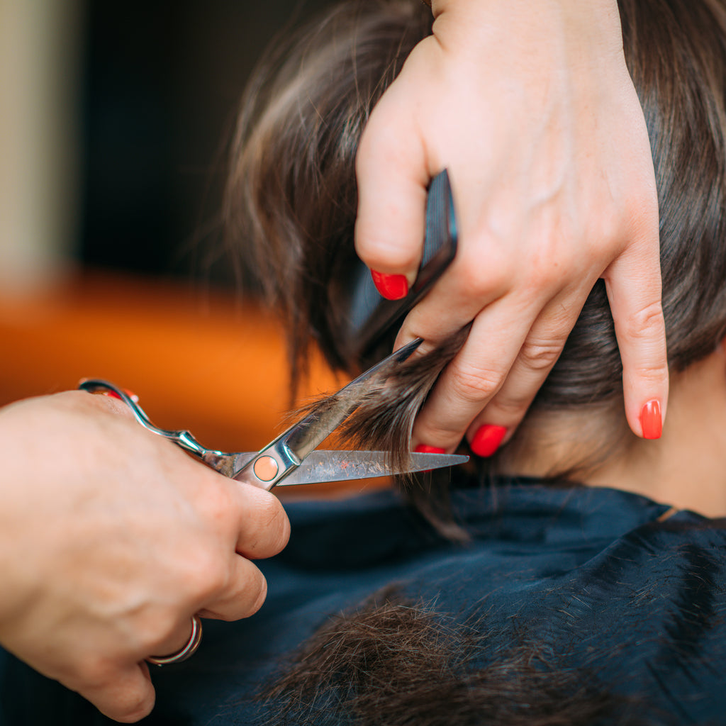 Signature Cuts